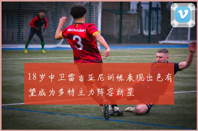 18岁中卫雷吉亚尼训练表现出色有望成为多特主力阵容新星