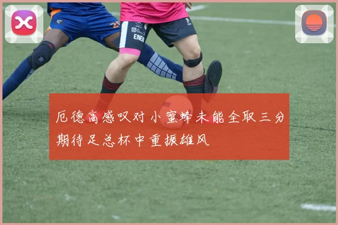厄德高感叹对小蜜蜂未能全取三分期待足总杯中重振雄风