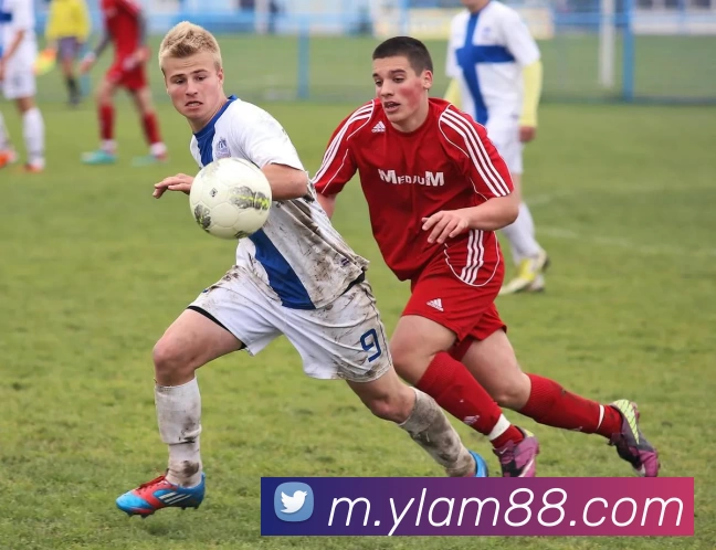 永利澳门全站App